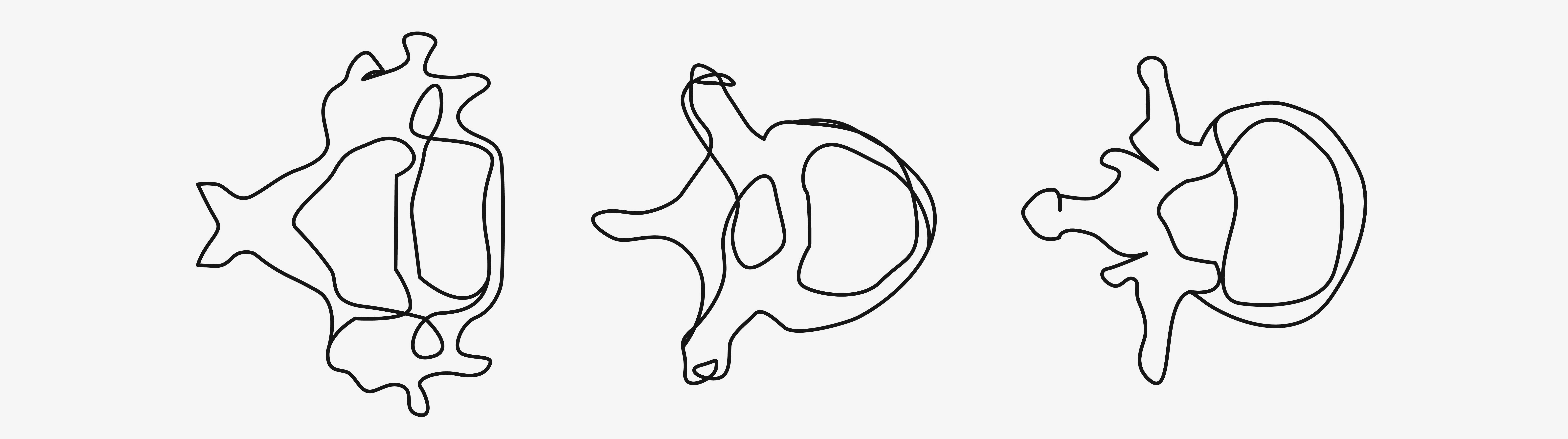 Spine anatomy banner