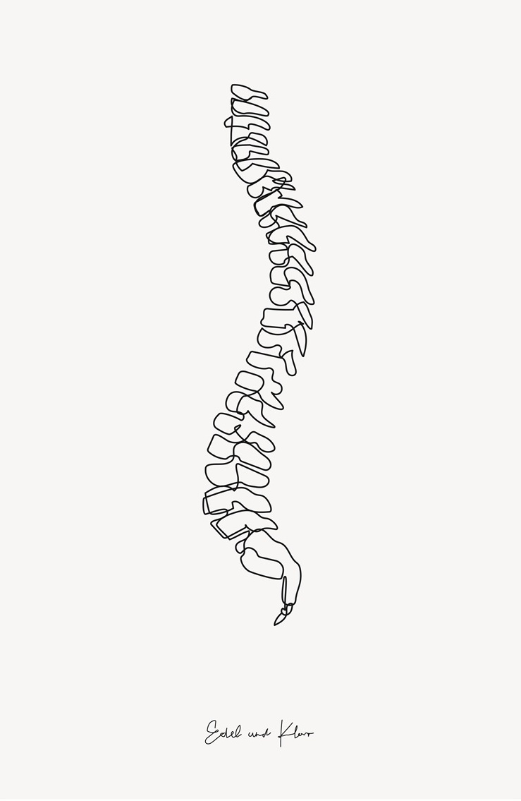 Spine illustration